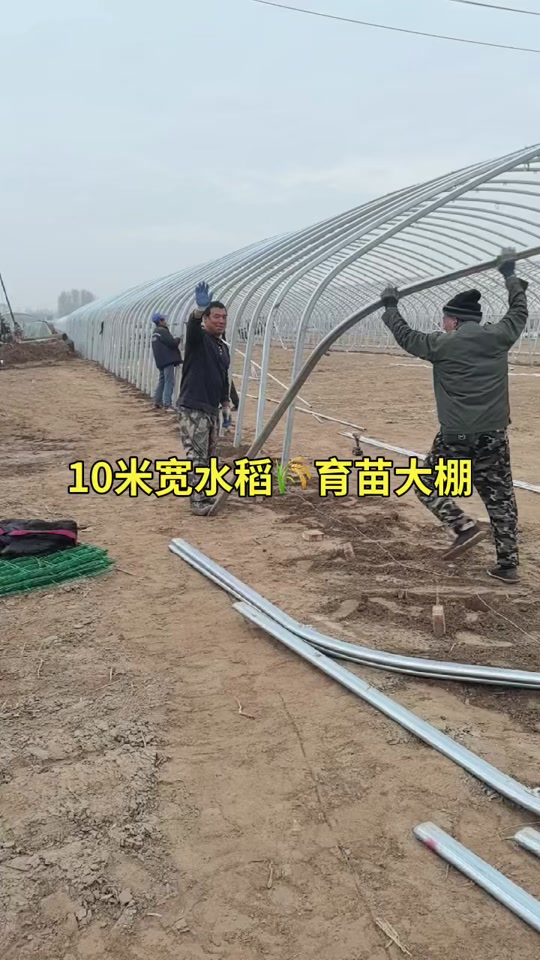 水稻育秧大棚技术推广 现代农业的智慧选择