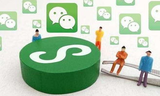 小程序优势解析 柳州木子科技小编分享技术推广新视角